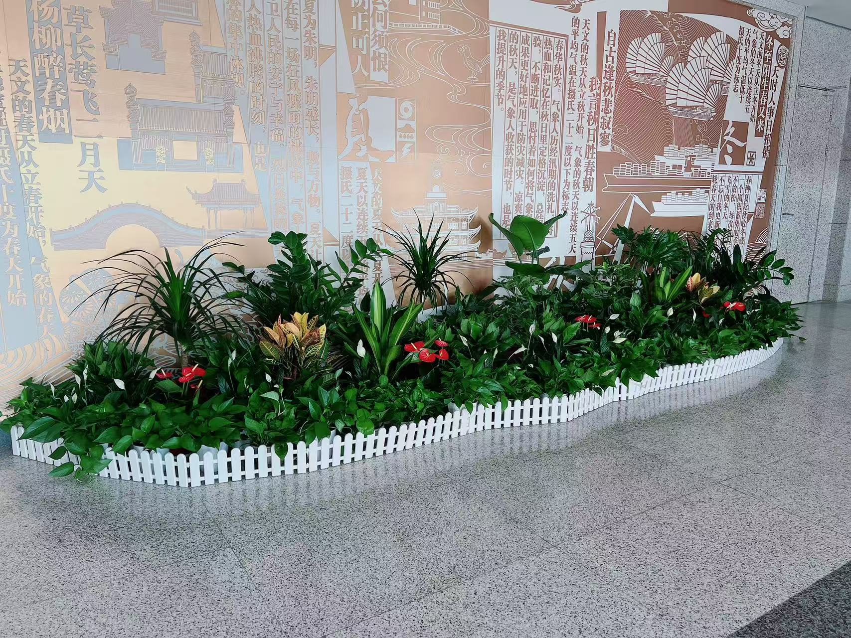 领略宁波慈溪花卉租赁，畅享花卉带来的美妙风情！